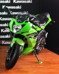 Kawasaki RR250 Mono
